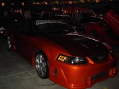 DSC09501 (Custom).JPG